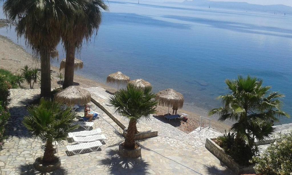 Hotel Lefkadi Lefkandí Kültér fotó
